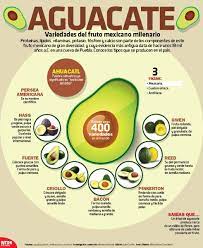 Https Twitter Com Hashtag Infografianotimex F Tweets Food Humor Avocado Types Mexican Food Recipes