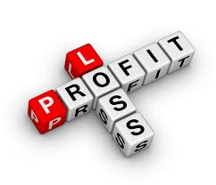 12-Month Profit and Loss Projection | SCORE