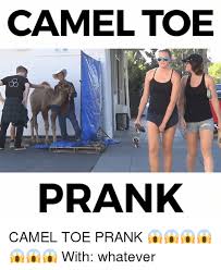 It will be published if it complies with the content rules and our moderators approve it. 25 Best Memes About Camel Toe Camel Toe Memes