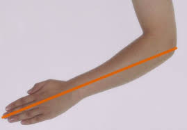 1 foot = 12 inch 0,5 ft = 6 inch 2 ft = 24 inch 3 ft = 36 inch. Hasta Wikipedia Bahasa Indonesia Ensiklopedia Bebas