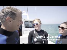 1 review of sorrento boat pier sorrento boat pier is well known around the melbourne area for its boat cruses (the moonraker ii boat) that take you out into the bay to swim with dolphins and sea lions in their natural habitat. Moonraker Dolphin Swims Sorrento Destimap Destinations On Map