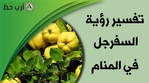 We did not find results for: Ø¹Ù„Ù‰ Ù…Ø§Ø°Ø§ ØªØ¯Ù„ Ø±Ø¤ÙŠØ© Ø§Ù„Ù…ÙŠØª Ù…Ø¹ Ø§Ù„ÙØ§ÙƒÙ‡Ø© ÙˆÙ‡Ù„ Ù‡Ø°Ø§ Ø§Ù„Ù†ÙˆØ¹ Ù…Ù† Ø§Ù„Ø§Ø­Ù„Ø§Ù… Ù…Ø¨Ø´Ø±Ø© Ø¨Ø§Ù„Ø®ÙŠØ± Ø§Ø±Ø¨ Ø­Ø¸