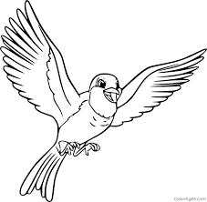 You can use our amazing online tool to color and edit the following robin bird coloring pages. Cute Flying Robin Coloring Page Coloringall