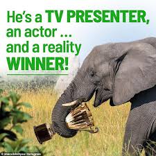 Yg's kpop boy group winner own reality program show. Which Reality Show Winner Is Headed To The Jungle For I M A Celebrity Get Me Out Of Here 2019 Daily Mail Online