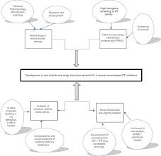 Chemical Diversity And Activity Profiles Of Hiv 1 Reverse Transcriptase Inhibitors From Plants Sciencedirect