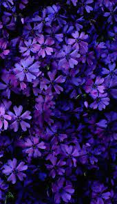 Choose from a curated selection of flower wallpapers for your mobile and desktop screens. Top Nice Flower Wallpaper For Mobile Free Download Wallpapers Book Your 1 Source For Free Download Hd 4k High Quality Wallpapers