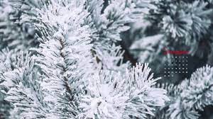 Desktop Wallpapers Candidly Keri Christmas Desktop Wallpaper Free Christmas Desktop Wallpaper Christmas Desktop