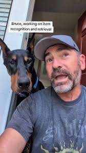 Understanding Life with a Doberman: Mental and Physical Exercise
