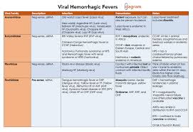 Each virus is usually associated with a particular rodent host species in which it is maintained. Viral Hemorrhagic Fevers Arenaviridae Bunyaviridae Grepmed