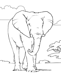 African Elephant Color Page Elephant Coloring Page Elephant Outline Elephant Pictures
