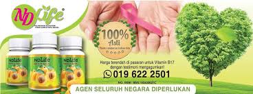 The following are some of the main schools here Senarai 319 Buah Farmasi 1000 Agen Ndlife
