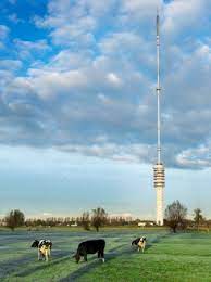 The tower was ceremonially opened by queen juliana on may 9, 1961. Datacenter Ijsselstein Cellnex Netherlands