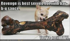 Check spelling or type a new query. I Has A Hotdog Chihuahua Funny Dog Pictures Dog Memes Puppy Pictures Pictures Of Dogs Dog Pictures Funny Pictures Of Dogs Dog Memes Puppy Pictures Doge Cheezburger