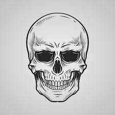 A propos de dessin de tete de mort. 25 895 Tete De Mort Dessin Imagenes Y Fotos 123rf