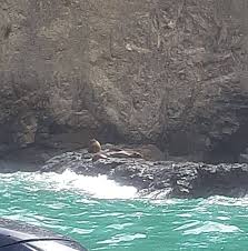 Perfil de Monica Velez