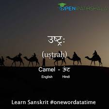 The vegetation does not grow very tall so the desert biome can only accommodate small animals. Different Names Of Animals Learn Sanskrit Open Pathshala