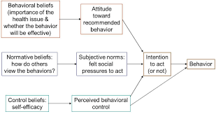 Self Efficacy Model Self Efficacy Activities Of Daily Living Behavior