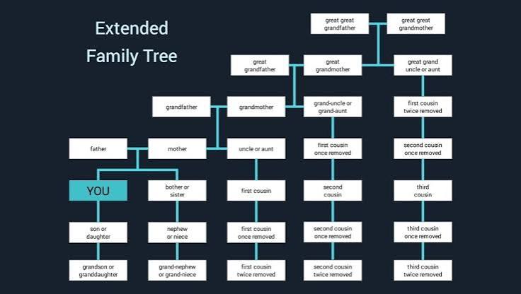 Family Tree Chart Guide: Types, Templates & Tutorial