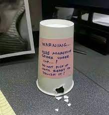 Put This Cup Upside Down On Your Kid S Desk April Fools Pranks Pranks April Fools Joke