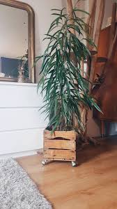 Wooden Case On Wheels Storage Box Cache Pot Plant Door Vintage Industrial Style Deco Maison Idee Deco Maison Et Caisse Bois
