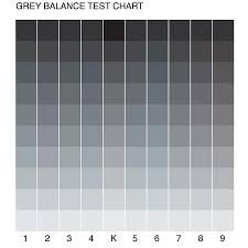Different Shades Of The Color Gray Loris Decoration