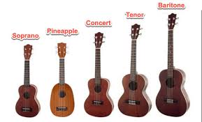Ukulele Size Guide All You Need To Know Zing Instruments