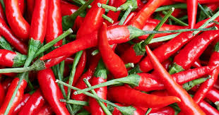 The bird's eye chili is small, but is quite hot (piquant). Growing Chilli S Scoville Scale Lovethegarden