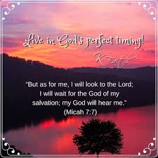 Why am i wasting my time setting this goal that isn't even up to me…no #perfect time #god's perfect timing #prayer #instagodministries #godpost #quotation #quote #quoteoftheday #quotes wait for god's perfect choice in god's perfect timing. Live In God S Perfect Timing Kfaith But As For Me I Will Look To The Lord I Will Wait For The God Of My Salv Christian Verses Daily Devotional Read Bible