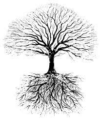 You Must Be Rooted Before You Can Expand Http Quartzmeaning Com Arboles Png Arbustos Arbol De La Vida