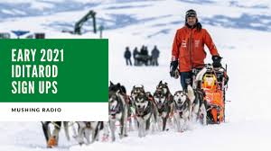 One year after the original rock dog: Early 2021 Iditarod Sign Ups Dog Works Radio