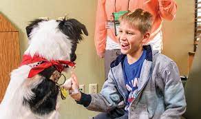 Therapy Dogs Bring Comfort In Time Of Need