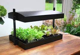 Did you think an indoor lighting system was only for the pros? The Coastal Gardener Shedding Light On Growing Plants Los Angeles Times