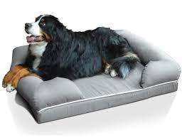 Dog bed king usa cuddler nest. Puplounge Memory Foam Orthopedic Bed Treat A Dog Shop Usa Dog Bed Orthopedic Dog Bed Dog Bed Modern