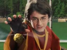 De Qual Casa De Hogwarts Você Seria?