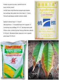 Zuhal agro channel 1.576 views14 days ago. Hanya Panduan Bagi Yg Baru Dlm Durian Monthong Tani Facebook