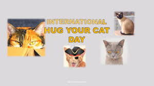 Taking a shower, grooming, trimming claws, loud sounds, the other cats, every human on the face of the earth? Hug Your Cat Day Round The World Indy 500 Creativity More National International Days May 30 Youtube