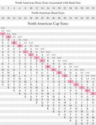 Bra Size Chart Age