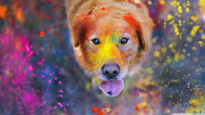 Learn more about the psa blood test at webmd. Kolor Tapety Na Pulpit Hd Psa Panoramiczny Wysokiej Rozdzielczosci Fullscreen