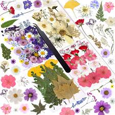 Exposure to moisture can cause some flowers preserved in a glycerin solution to weep from the stems or pores and drip onto nearby surfaces. Amazon Com Nicecho Rich Variety Natural Dried Flowers For Resin Molds Real Pressed Flower Dry Leaves Bulk Dry Flowers For Candle Making Epoxy Resin