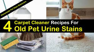 After the mixture is completely dry, vacuum the residue. 4 Best Carpet Cleaner Recipes For Old Pet Urine Stains