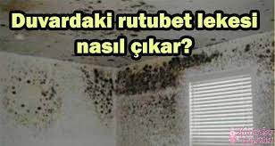 Her kadın evlerinin her odasının ve de her odasının her köşesinin işte pratik yöntemleri ve kullanacağınız malzemeler. Duvardaki Rutubet Lekesi Nasil Cikar Kadinlar Kulubu