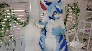 Resultados de búsqueda por puma furry