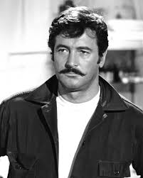 Old Hollywood's bearded men were known for their rugged charm and  distinguished looks, making them icons of their time. Some of the most  celebrated actors of the golden age, such as Gregory