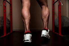 Lower toward the ground, pushing your hips back with knees behind the toes. How To Build Calf Muscle For Strong Legs Muscle Prodigy