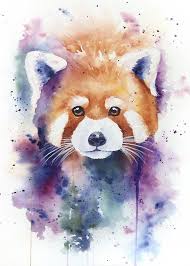Standard Impression Dart Aquarelle Panda Roux Panda Roux Watercolor Splash Panda Painting Panda Art