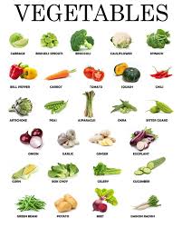 Instant Download Printable Vegetables Educational Posters Montessori Waldorf Teaching In 2020 Vegetable Benefits Vegetable Chart Healthy Food Recipes Clean Eating
