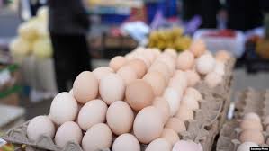 تخممرغ