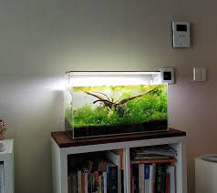 My 15 Gallon On A Reinforced Ikea Shelf Plantedtank In 2020 Ikea Shelves Gallon Ikea