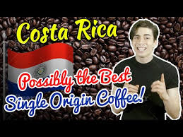 Origins of costa rican coffee. Costa Rica Coffee Facts What You Need To Know