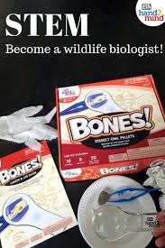 Stem At Play Bones Dissect Owl Pellets Kit Owl Pellets Science Kits For Kids Stem Experiments